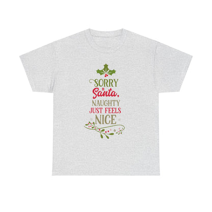 Naughty Feels Nice 2