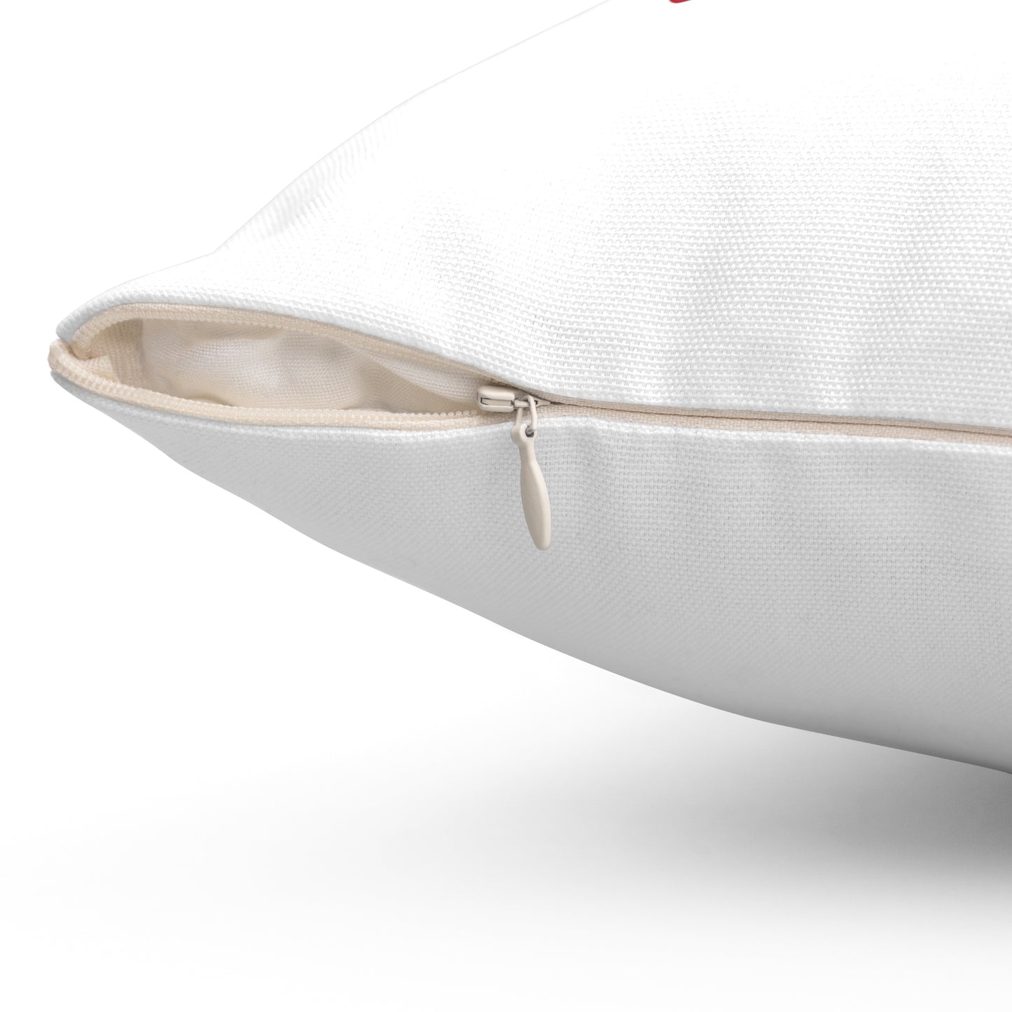 Forget About The Cookies. I Want Wine-Spun Polyester Square Pillow (White)