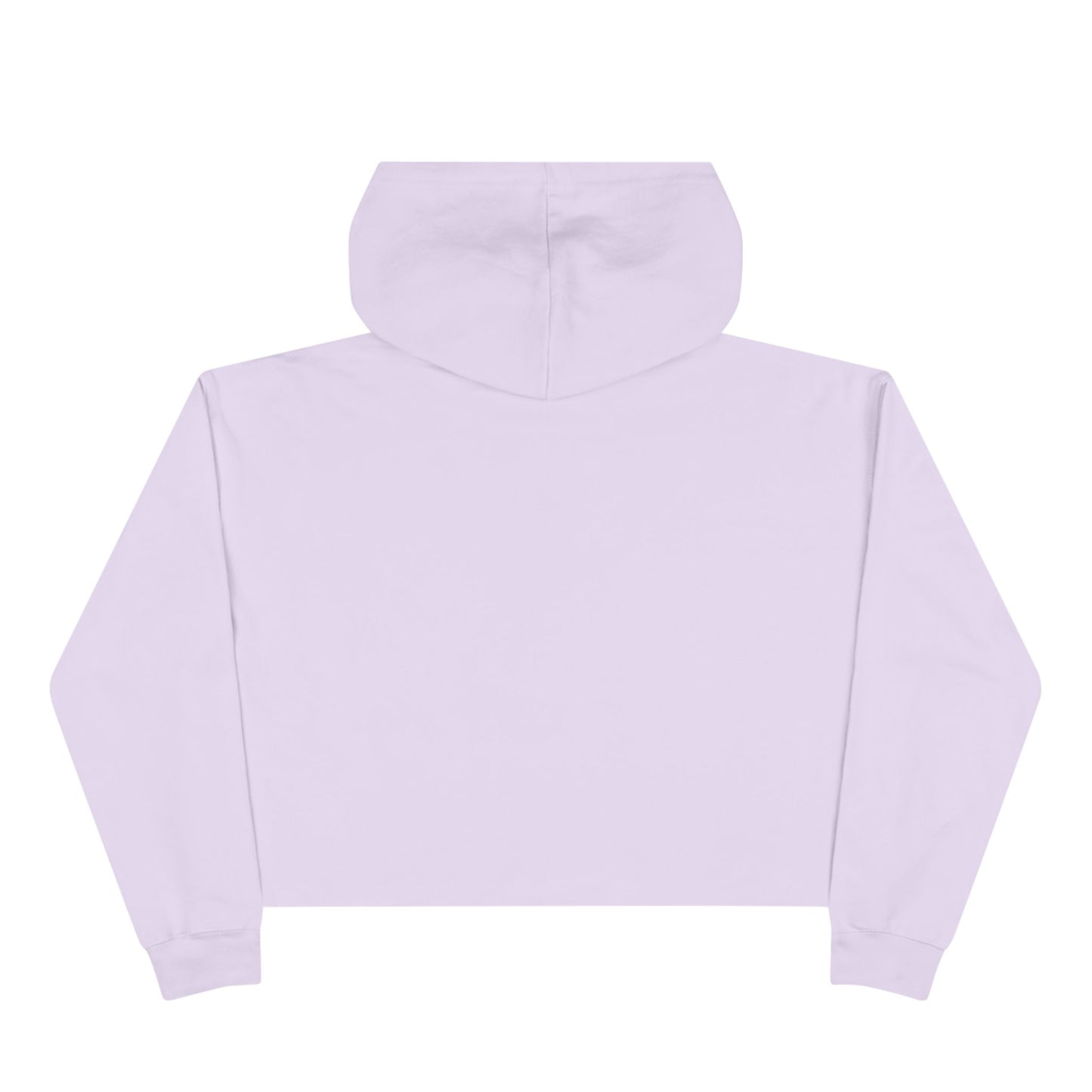 Princess Silver Crop Hoodie